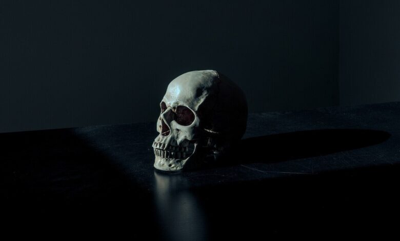 Memento mori - lembre-se de que você deve morrer