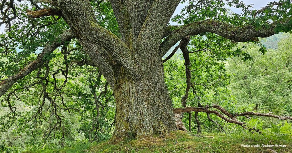 08 de Outubro  de 2023 “Amar não menos o homem, mas mais a natureza”