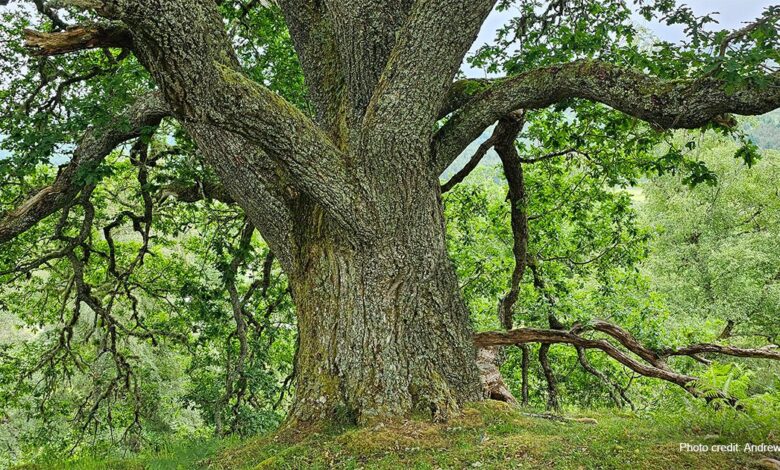 08 de Outubro  de 2023 “Amar não menos o homem, mas mais a natureza”