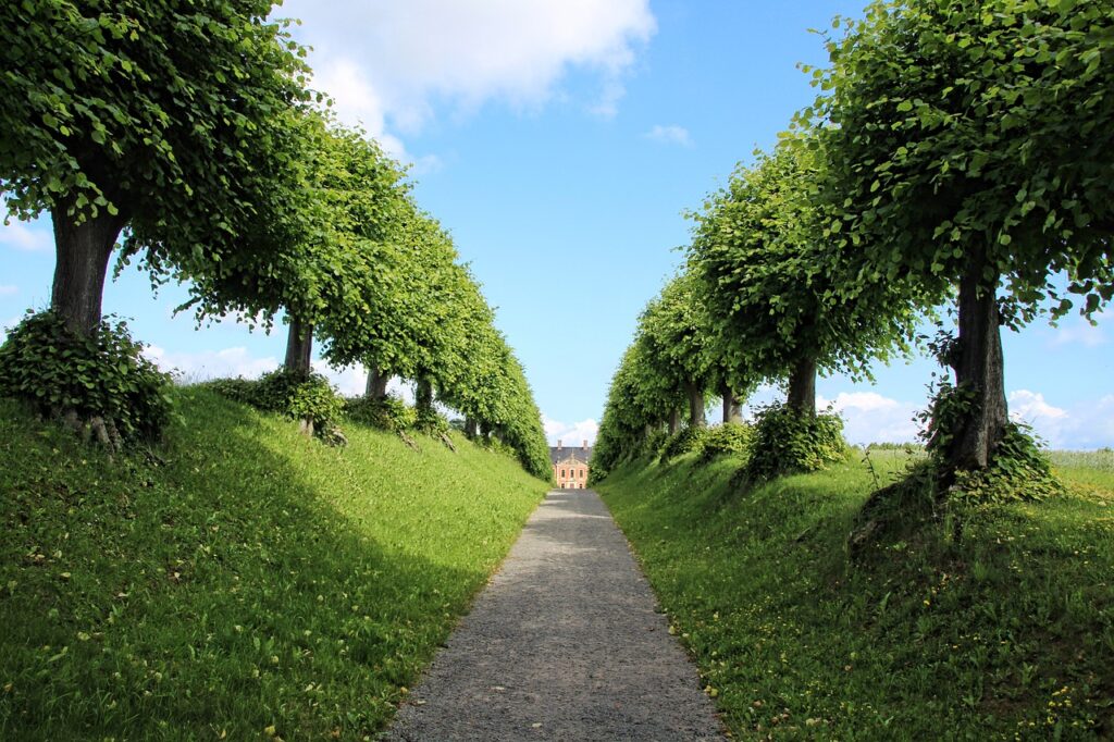 Quais são os jardins mais bonitos do mundo?