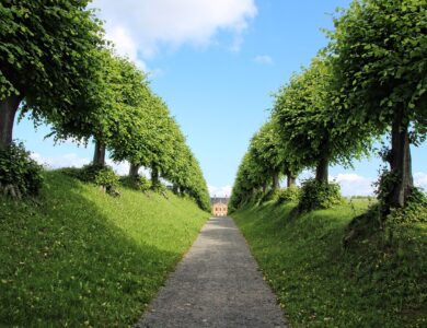 Quais são os jardins mais bonitos do mundo?