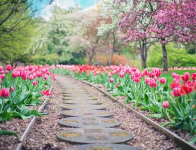 Os jardins mais bonitos do mundo