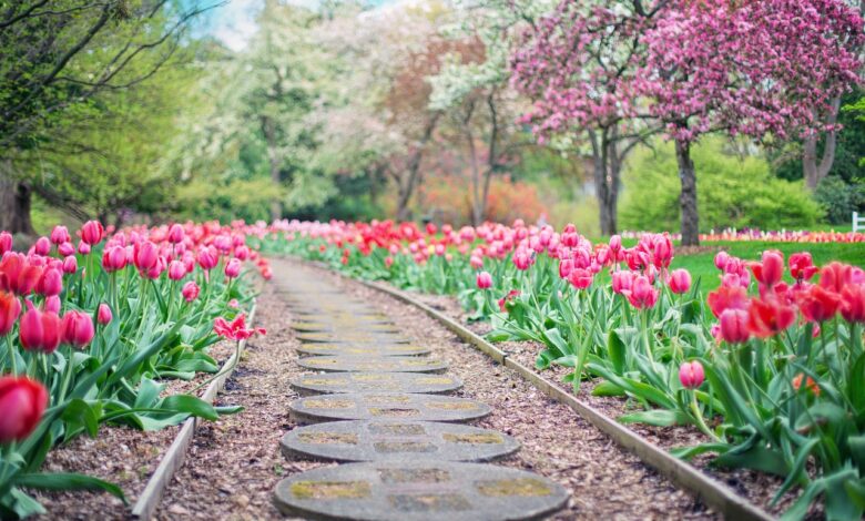 Os jardins mais bonitos do mundo