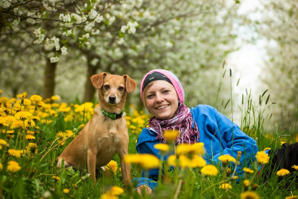 Dicas para um jardim deslumbrante: transforme seu espaço em um paraíso verde!