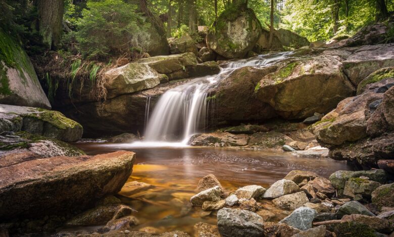 Explorando a grandeza da natureza: uma fonte infinita de inspiração!